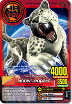 See all Animal Cards