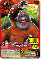 See all Animal Cards