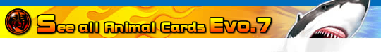 How many cards are there?